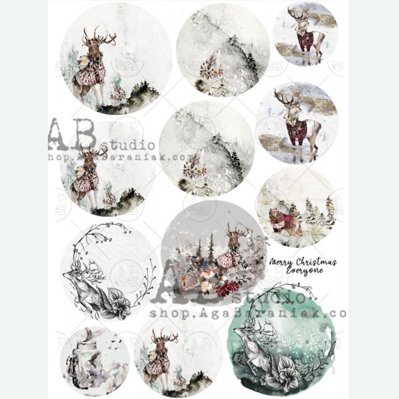ABStudio 0215